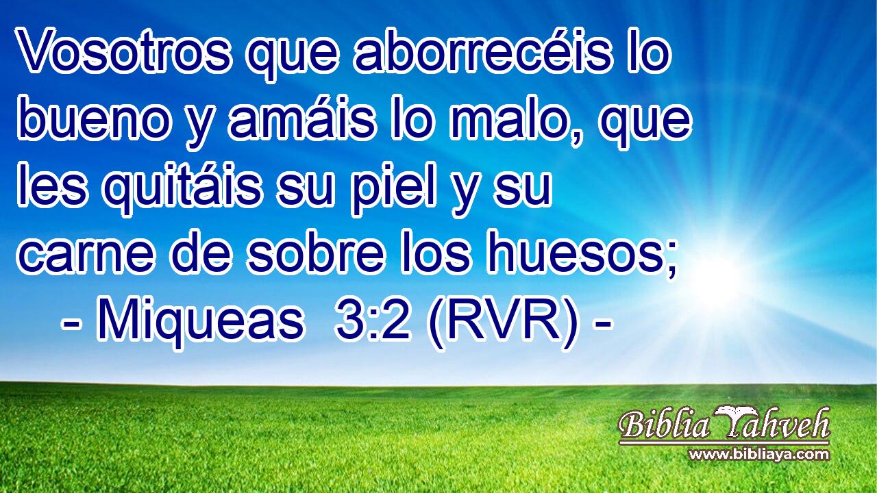 Vosotros que aborrecéis lo bueno y amáis lo malo, que les quitáis su piel y su carne de sobre los huesos;