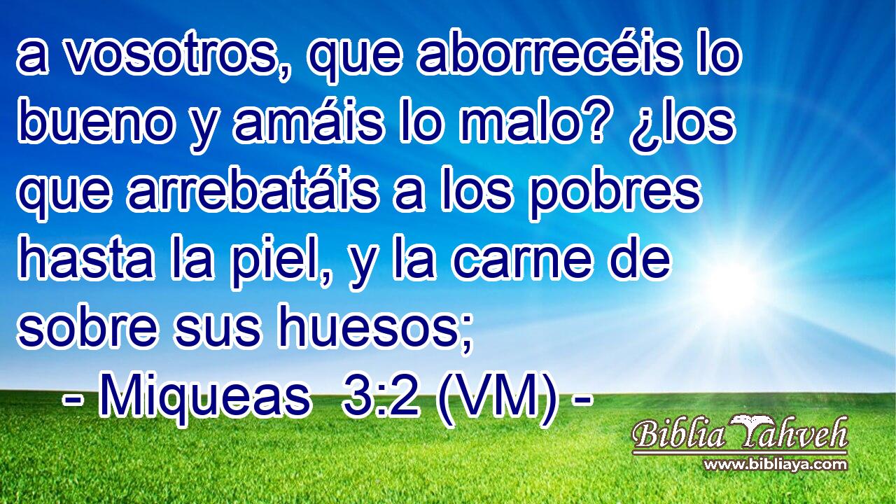  a vosotros, que aborrecéis lo bueno y amáis lo malo? ¿los que arrebatáis a los pobres hasta la piel, y la carne de sobre sus huesos; 