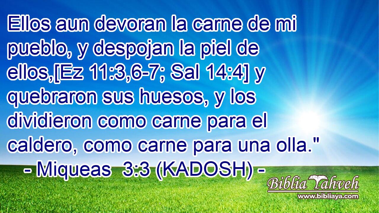  Ellos aun devoran la carne de mi pueblo, y despojan la piel de ellos,[Ez 11:3,6-7; Sal 14:4] y quebraron sus huesos, y los dividieron como carne para el caldero, como carne para una olla.