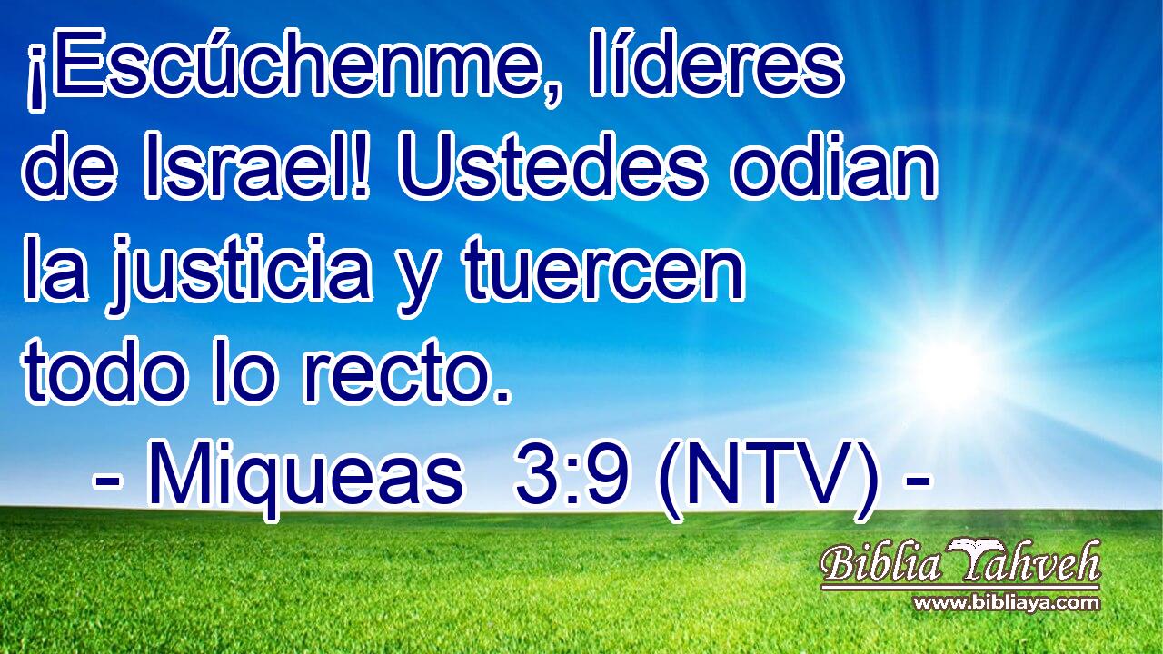 ¡Escúchenme, líderes de Israel! Ustedes odian la justicia y tuercen todo lo recto.