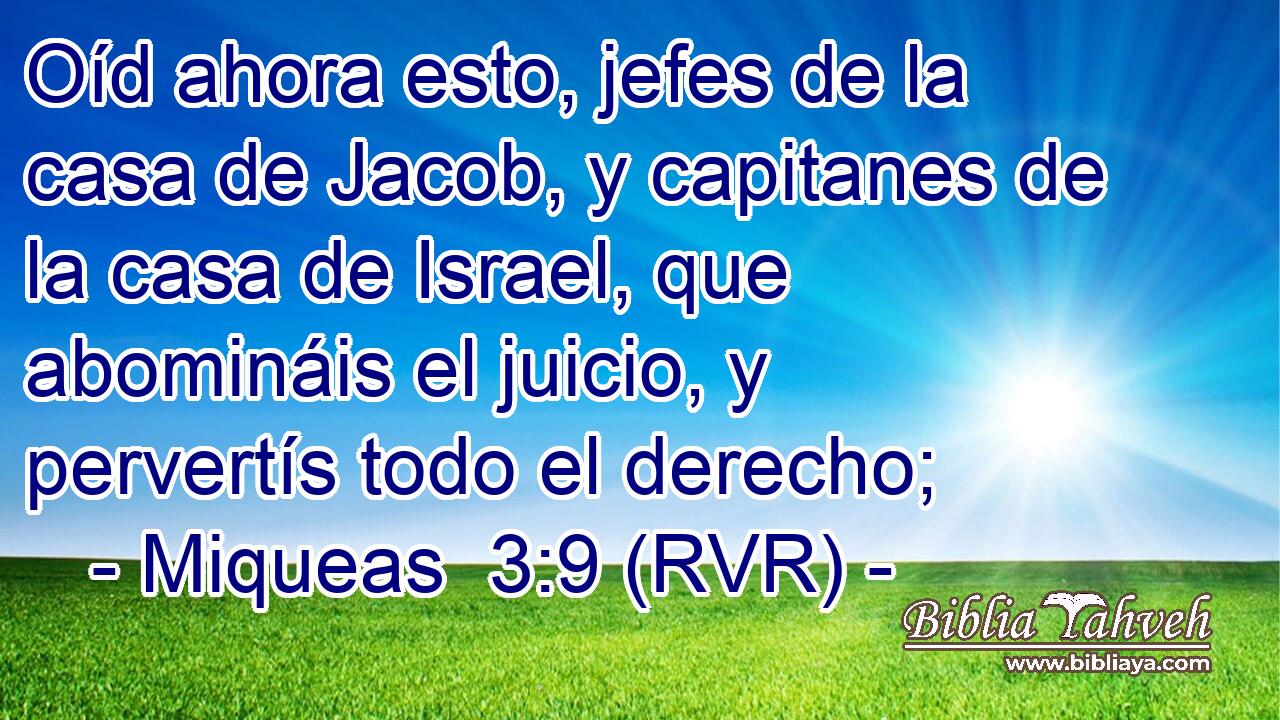 Oíd ahora esto, jefes de la casa de Jacob, y capitanes de la casa de Israel, que abomináis el juicio, y pervertís todo el derecho;