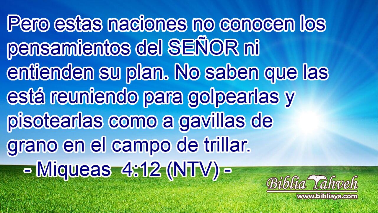 Pero estas naciones no conocen los pensamientos del SEÑOR ni entienden su plan. No saben que las está reuniendo para golpearlas y pisotearlas como a gavillas de grano en el campo de trillar.