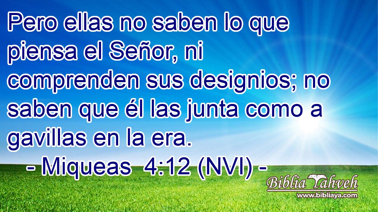  Pero ellas no saben lo que piensa el Señor, ni comprenden sus designios; no saben que él las junta como a gavillas en la era. 