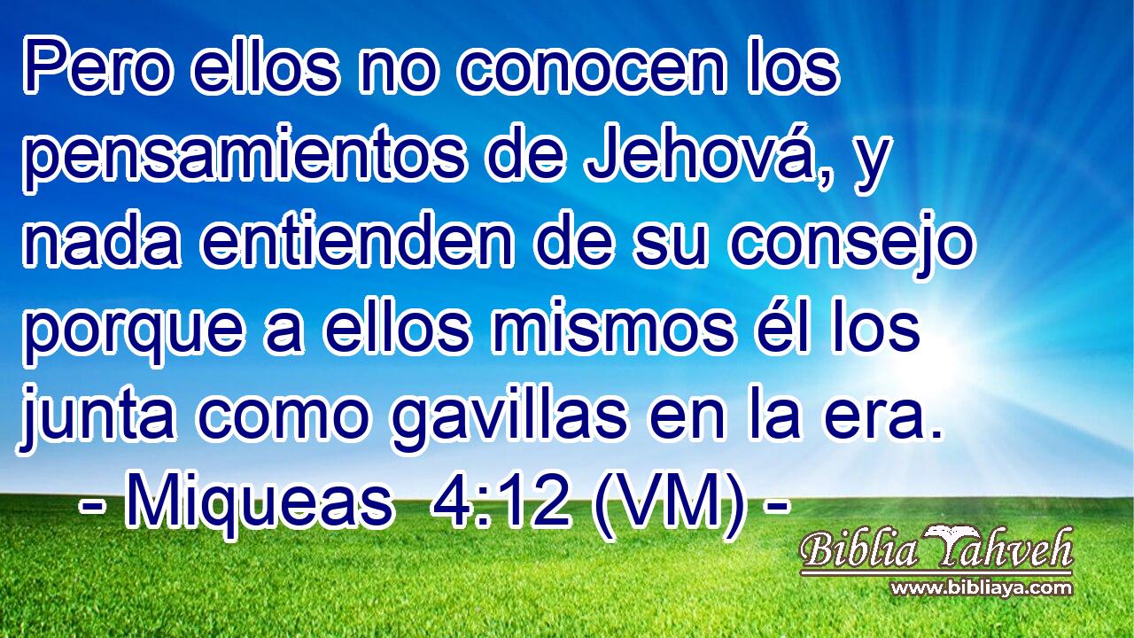  Pero ellos no conocen los pensamientos de Jehová, y nada entienden de su consejo porque a ellos mismos él los junta como gavillas en la era. 