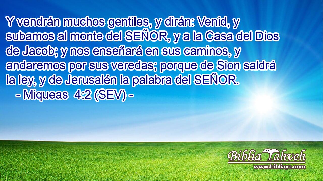 Y vendrán muchos gentiles, y dirán: Venid, y subamos al monte del SEÑOR, y a la Casa del Dios de Jacob; y nos enseñará en sus caminos, y andaremos por sus veredas; porque de Sion saldrá la ley, y de Jerusalén la palabra del SEÑOR.
