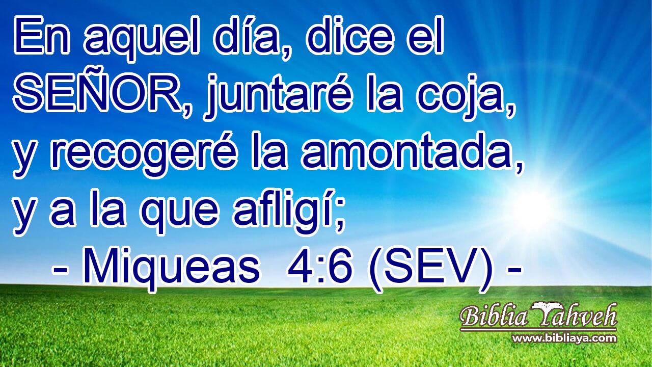 En aquel día, dice el SEÑOR, juntaré la coja, y recogeré la amontada, y a la que afligí;