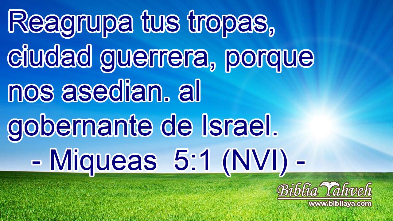  Reagrupa tus tropas, ciudad guerrera, porque nos asedian. al gobernante de Israel. 