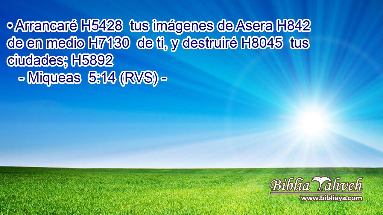 • Arrancaré H5428  tus imágenes de Asera H842  de en medio H7130  de ti, y destruiré H8045  tus ciudades; H5892  