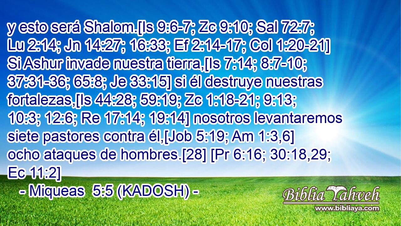  y esto será Shalom.[Is 9:6-7; Zc 9:10; Sal 72:7; Lu 2:14; Jn 14:27; 16:33; Ef 2:14-17; Col 1:20-21] Si Ashur invade nuestra tierra,[Is 7:14; 8:7-10; 37:31-36; 65:8; Je 33:15] si él destruye nuestras fortalezas,[Is 44:28; 59:19; Zc 1:18-21; 9:13; 10:3; 12:6; Re 17:14; 19:14] nosotros levantaremos siete pastores contra él,[Job 5:19; Am 1:3,6] ocho ataques de hombres.[28] [Pr 6:16; 30:18,29; Ec 11:2] 