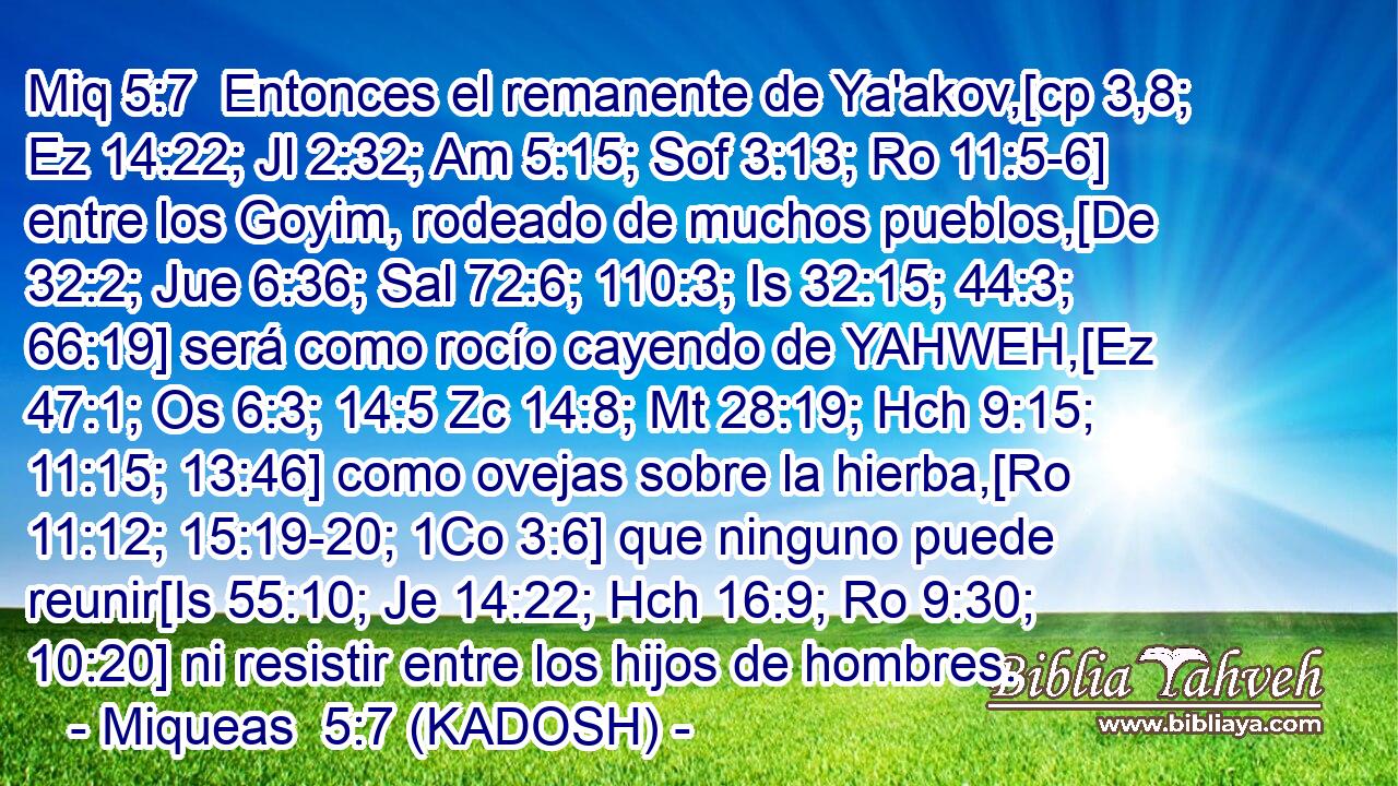  Entonces el remanente de Ya'akov,[cp 3,8; Ez 14:22; Jl 2:32; Am 5:15; Sof 3:13; Ro 11:5-6] entre los Goyim, rodeado de muchos pueblos,[De 32:2; Jue 6:36; Sal 72:6; 110:3; Is 32:15; 44:3; 66:19] será como rocío cayendo de YAHWEH,[Ez 47:1; Os 6:3; 14:5 Zc 14:8; Mt 28:19; Hch 9:15; 11:15; 13:46] como ovejas sobre la hierba,[Ro 11:12; 15:19-20; 1Co 3:6] que ninguno puede reunir[Is 55:10; Je 14:22; Hch 16:9; Ro 9:30; 10:20] ni resistir entre los hijos de hombres. 