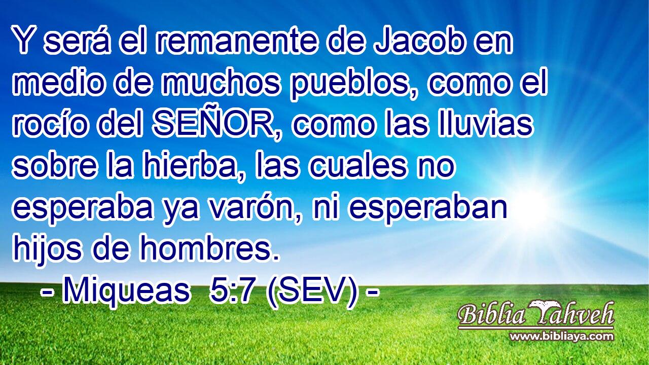 Y será el remanente de Jacob en medio de muchos pueblos, como el rocío del SEÑOR, como las lluvias sobre la hierba, las cuales no esperaba ya varón, ni esperaban hijos de hombres.