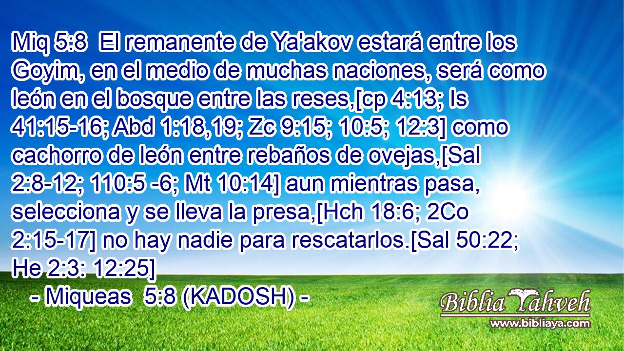  El remanente de Ya'akov estará entre los Goyim, en el medio de muchas naciones, será como león en el bosque entre las reses,[cp 4:13; Is 41:15-16; Abd 1:18,19; Zc 9:15; 10:5; 12:3] como cachorro de león entre rebaños de ovejas,[Sal 2:8-12; 110:5 -6; Mt 10:14] aun mientras pasa, selecciona y se lleva la presa,[Hch 18:6; 2Co 2:15-17] no hay nadie para rescatarlos.[Sal 50:22; He 2:3: 12:25] 