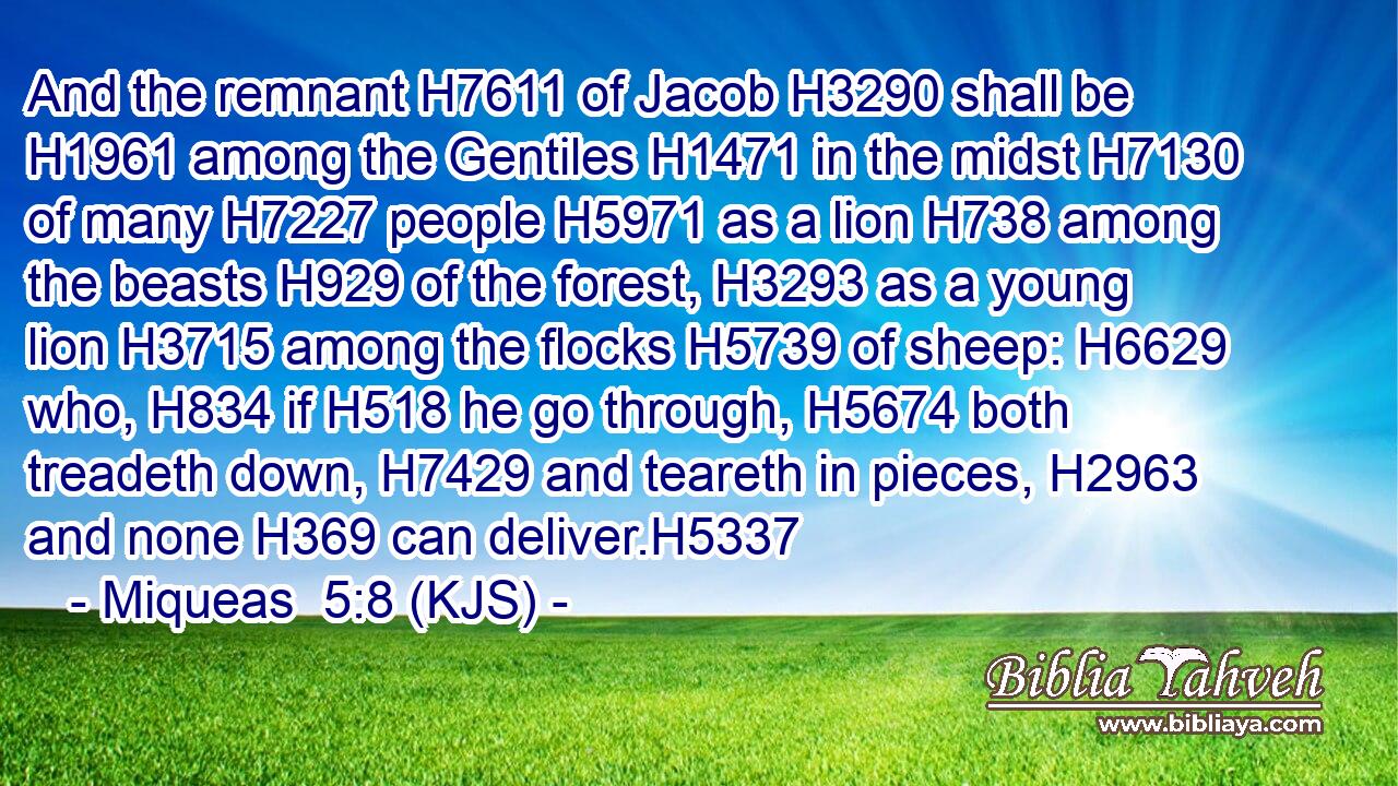 And the remnant H7611 of Jacob H3290 shall be H1961 among the Gentiles H1471 in the midst H7130 of many H7227 people H5971 as a lion H738 among the beasts H929 of the forest, H3293 as a young lion H3715 among the flocks H5739 of sheep: H6629 who, H834 if H518 he go through, H5674 both treadeth down, H7429 and teareth in pieces, H2963 and none H369 can deliver.H5337