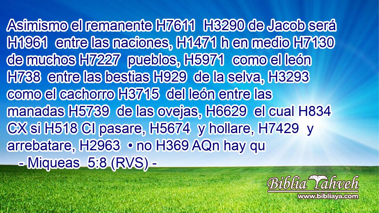Asimismo el remanente H7611  H3290 de Jacob será H1961  entre las naciones, H1471 h en medio H7130  de muchos H7227  pueblos, H5971  como el león H738  entre las bestias H929  de la selva, H3293  como el cachorro H3715  del león entre las manadas H5739  de las ovejas, H6629  el cual H834 CX si H518 CI pasare, H5674  y hollare, H7429  y arrebatare, H2963  • no H369 AQn hay qu