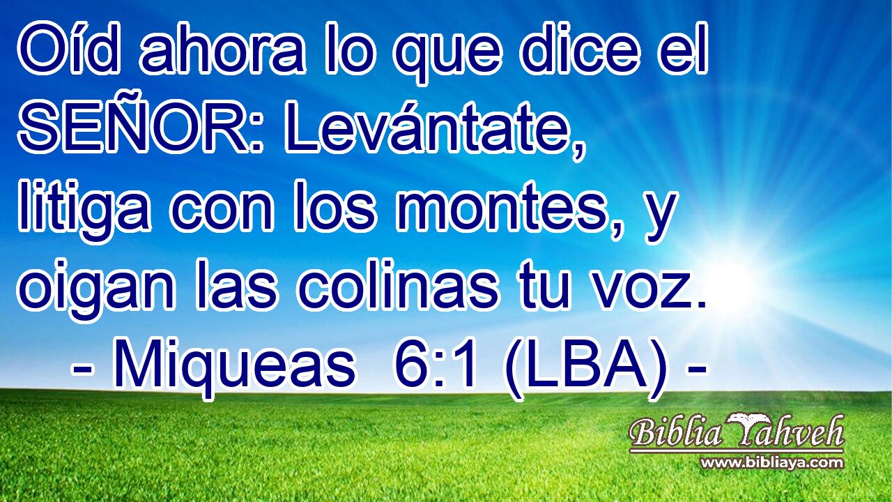 Oíd ahora lo que dice el SEÑOR: Levántate, litiga con los montes, y oigan las colinas tu voz.