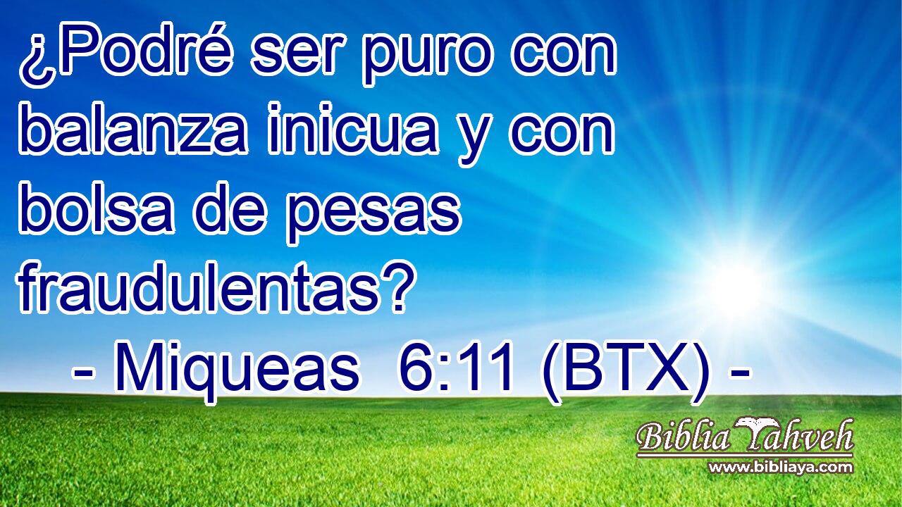 ¿Podré ser puro con balanza inicua y con bolsa de pesas fraudulentas?