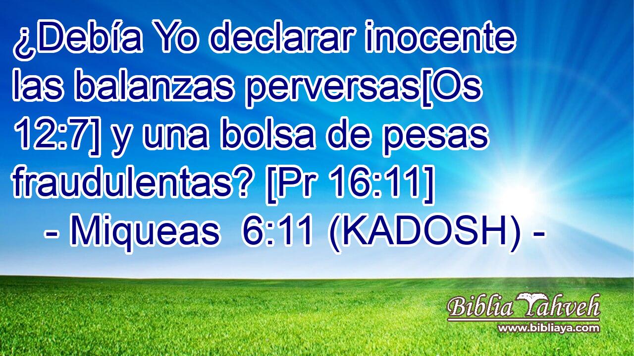  ¿Debía Yo declarar inocente las balanzas perversas[Os 12:7] y una bolsa de pesas fraudulentas? [Pr 16:11] 