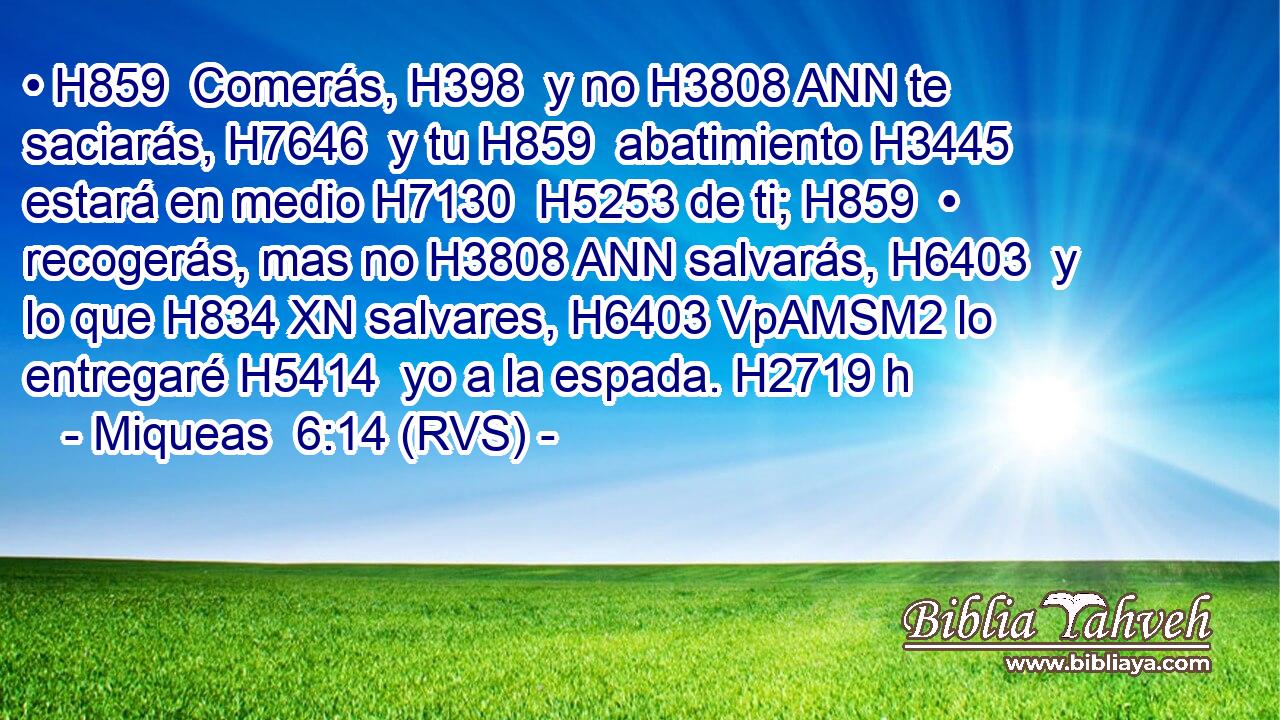 • H859  Comerás, H398  y no H3808 ANN te saciarás, H7646  y tu H859  abatimiento H3445  estará en medio H7130  H5253 de ti; H859  • recogerás, mas no H3808 ANN salvarás, H6403  y lo que H834 XN salvares, H6403 VpAMSM2 lo entregaré H5414  yo a la espada. H2719 h 