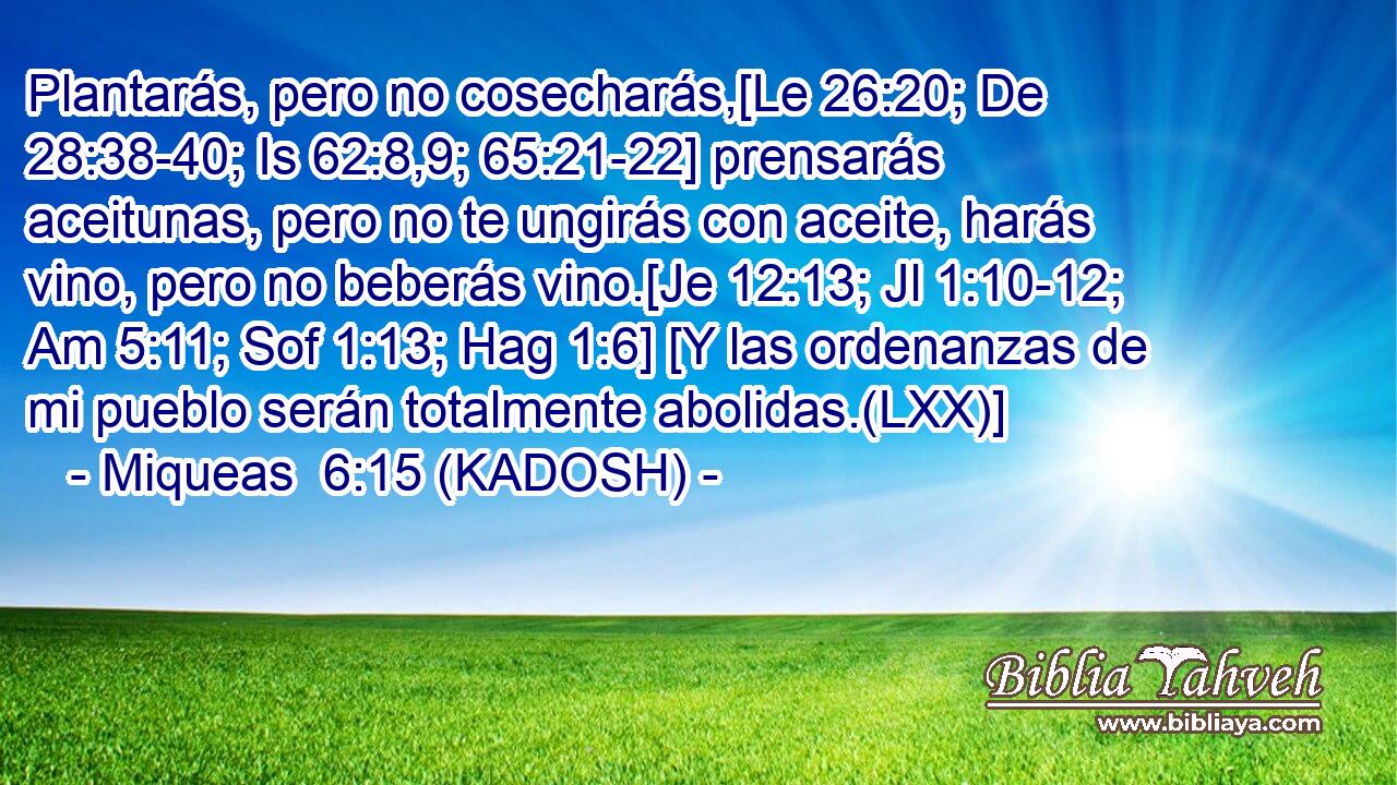  Plantarás, pero no cosecharás,[Le 26:20; De 28:38-40; Is 62:8,9; 65:21-22] prensarás aceitunas, pero no te ungirás con aceite, harás vino, pero no beberás vino.[Je 12:13; Jl 1:10-12; Am 5:11; Sof 1:13; Hag 1:6] [Y las ordenanzas de mi pueblo serán totalmente abolidas.(LXX)] 