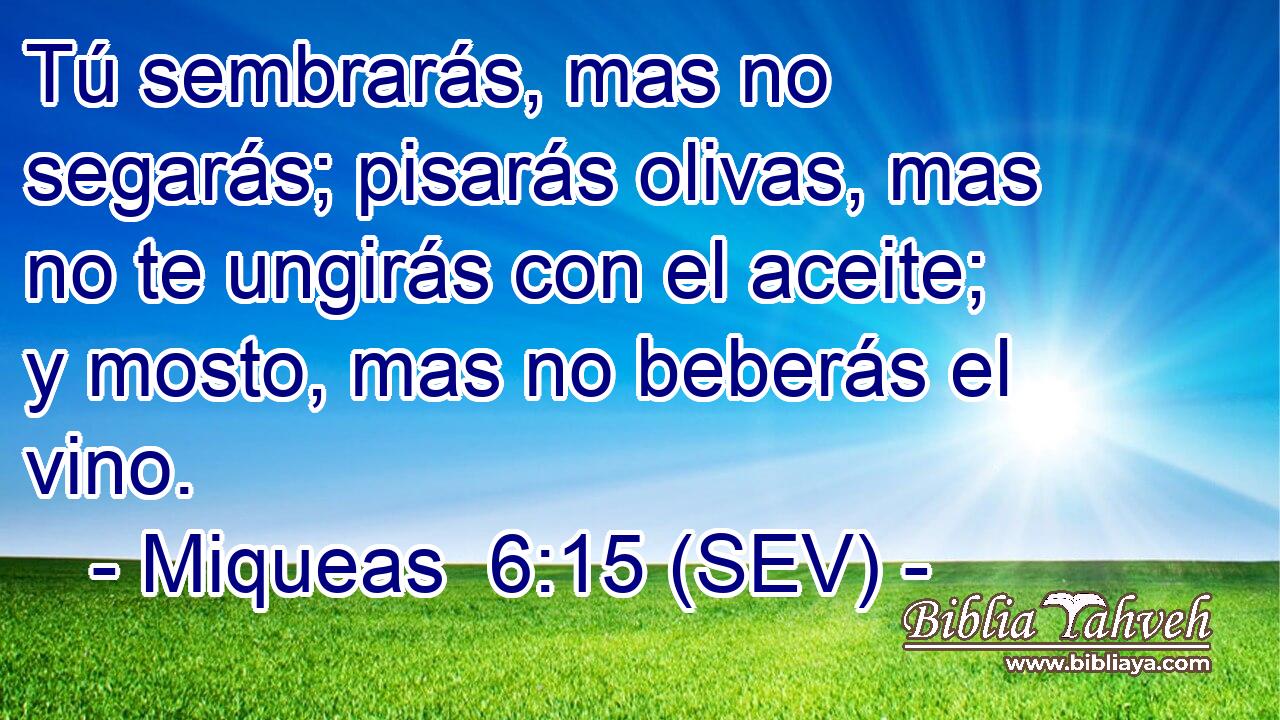 Tú sembrarás, mas no segarás; pisarás olivas, mas no te ungirás con el aceite; y mosto, mas no beberás el vino.