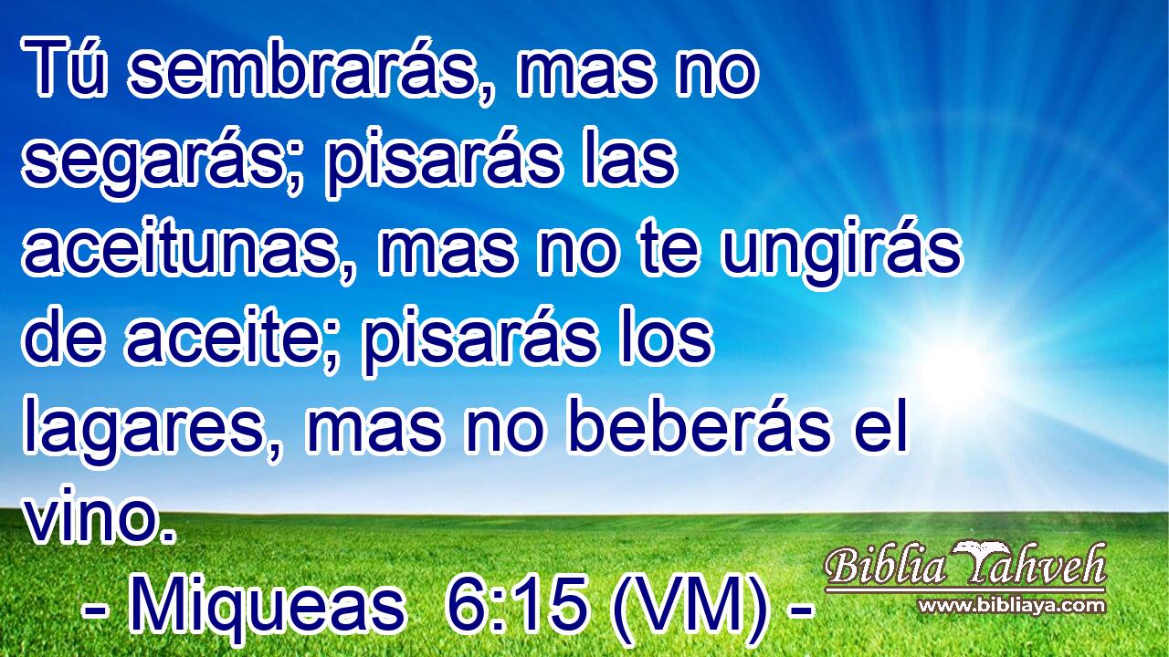  Tú sembrarás, mas no segarás; pisarás las aceitunas, mas no te ungirás de aceite; pisarás los lagares, mas no beberás el vino. 