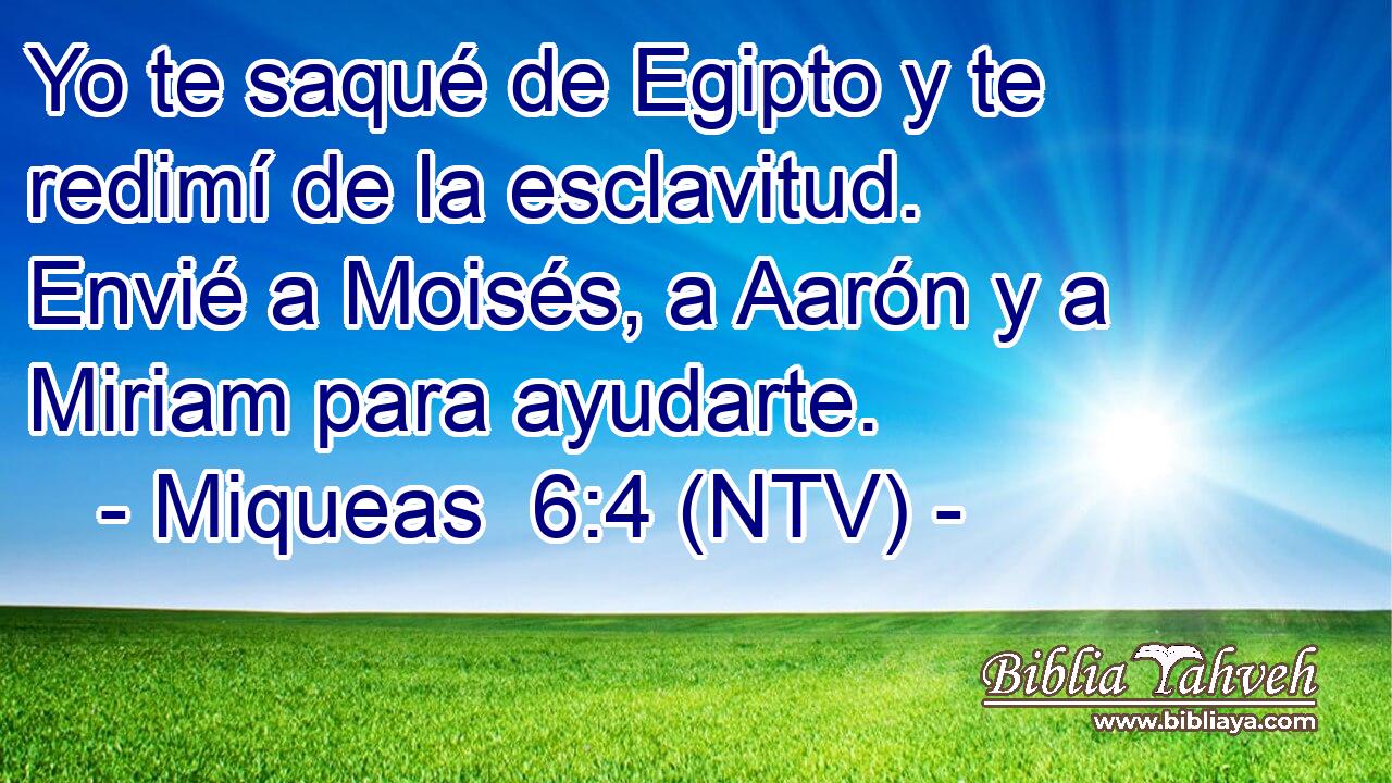 Yo te saqué de Egipto y te redimí de la esclavitud. Envié a Moisés, a Aarón y a Miriam para ayudarte.
