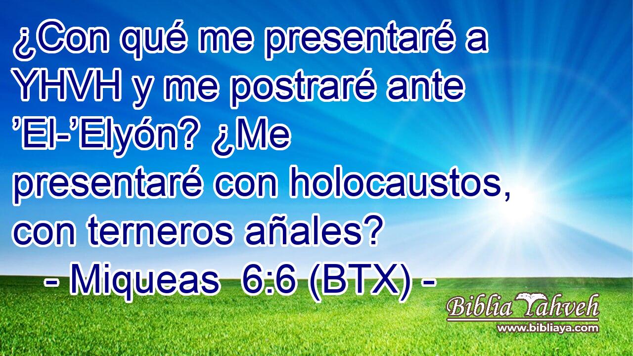 ¿Con qué me presentaré a YHVH y me postraré ante ’El-’Elyón? ¿Me presentaré con holocaustos, con terneros añales?