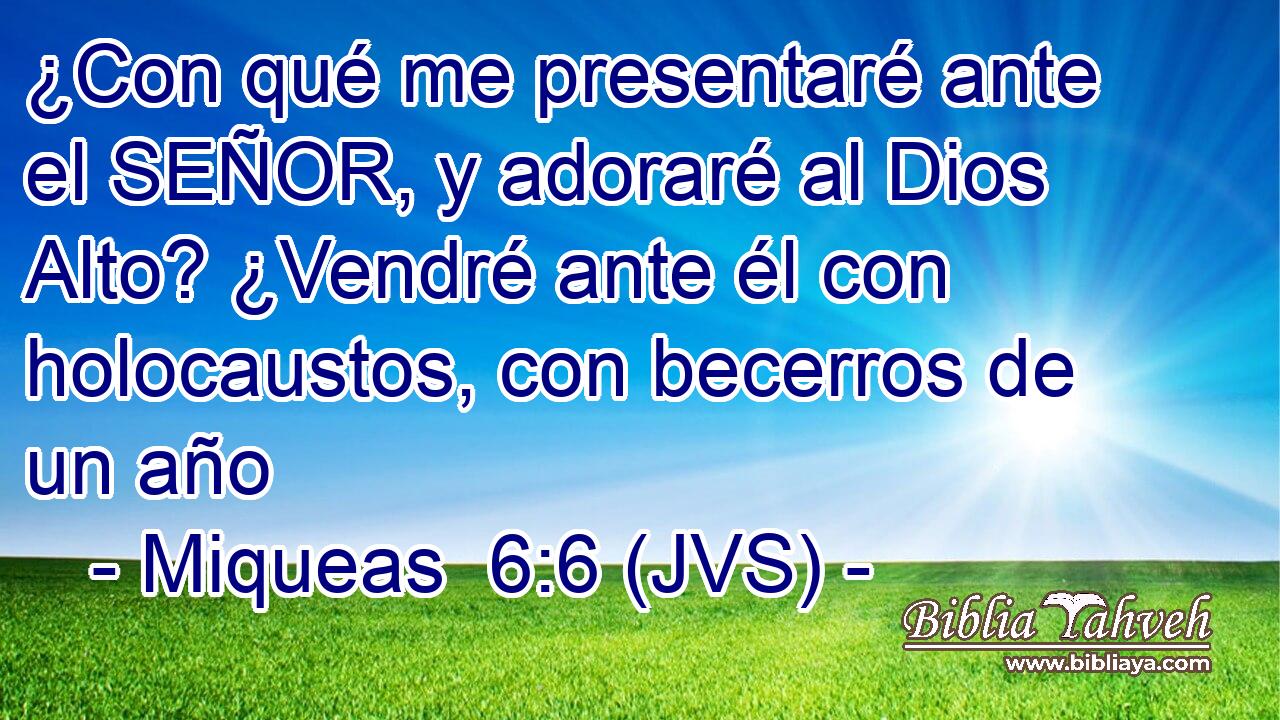 ¿Con qué me presentaré ante el SEÑOR, y adoraré al Dios Alto? ¿Vendré ante él con holocaustos, con becerros de un año