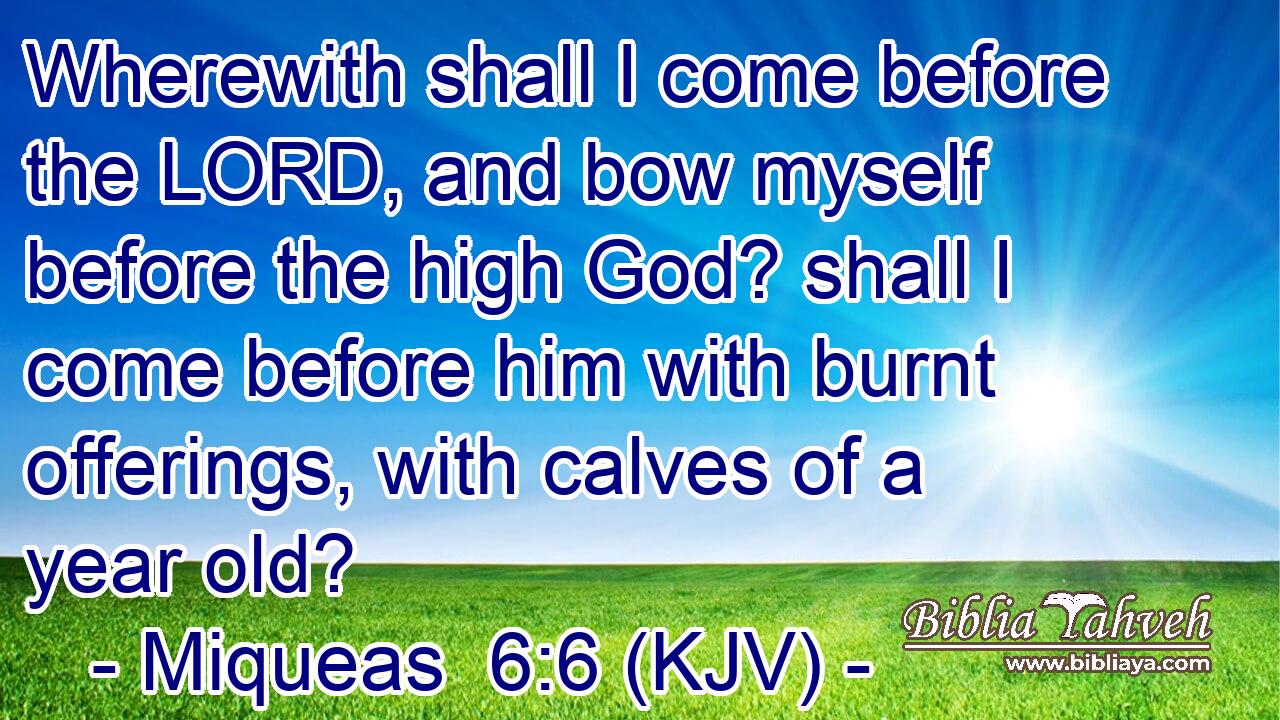 Wherewith shall I come before the LORD, and bow myself before the high God? shall I come before him with burnt offerings, with calves of a year old?