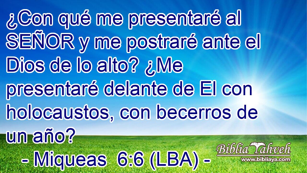 ¿Con qué me presentaré al SEÑOR y me postraré ante el Dios de lo alto? ¿Me presentaré delante de El con holocaustos, con becerros de un año?