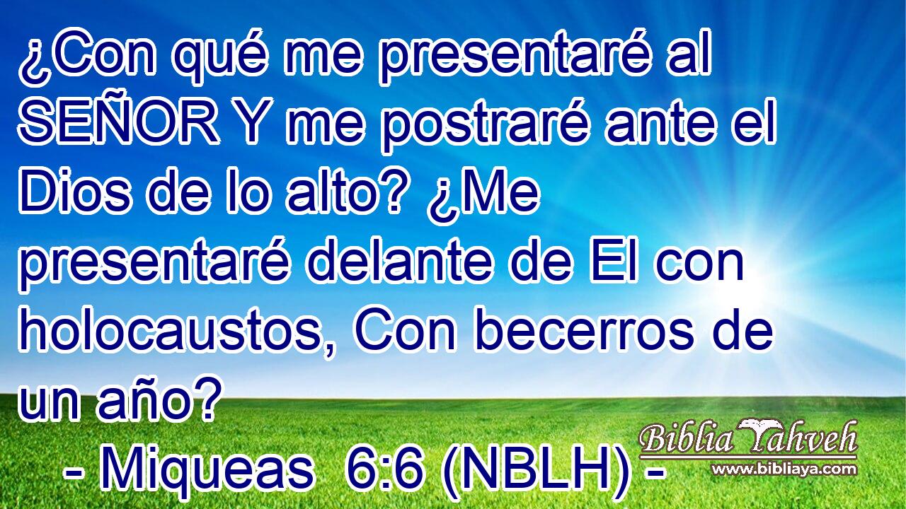  ¿Con qué me presentaré al SEÑOR Y me postraré ante el Dios de lo alto? ¿Me presentaré delante de El con holocaustos, Con becerros de un año? 