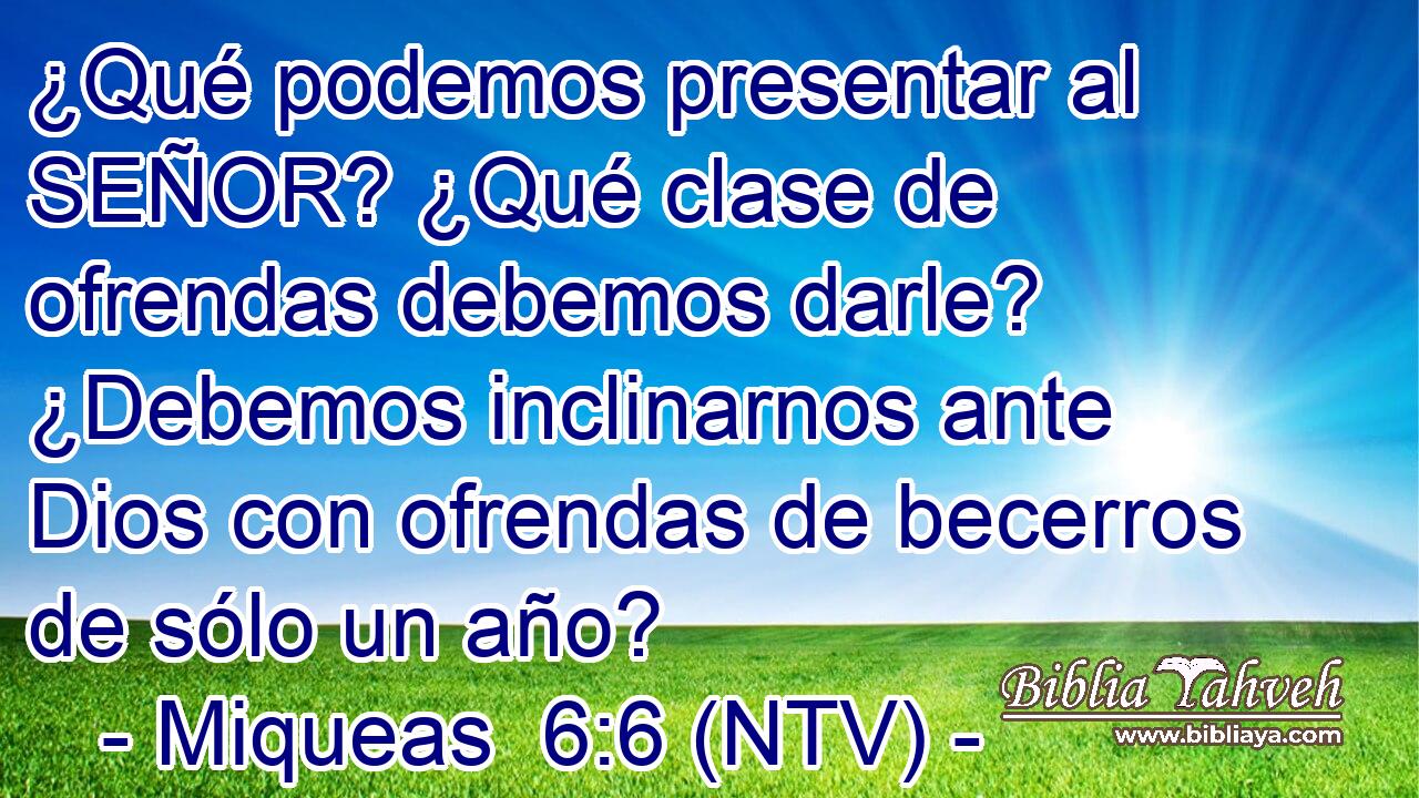 ¿Qué podemos presentar al SEÑOR? ¿Qué clase de ofrendas debemos darle? ¿Debemos inclinarnos ante Dios con ofrendas de becerros de sólo un año?