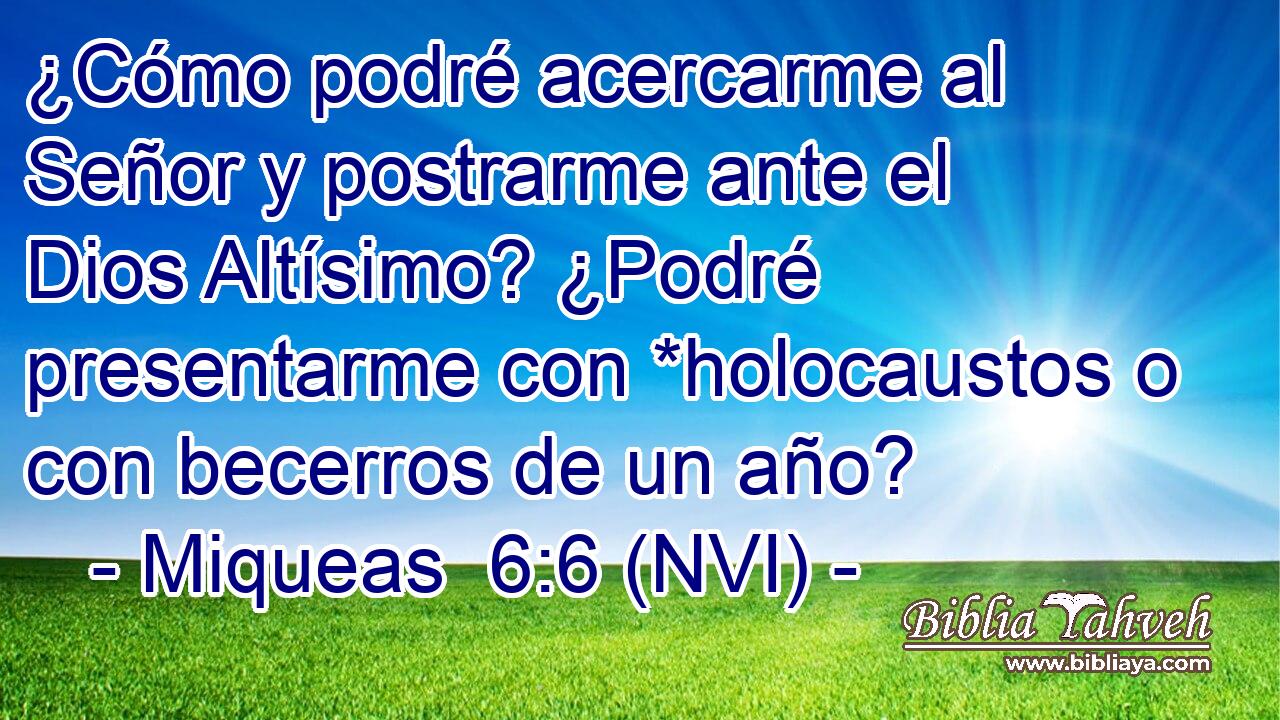  ¿Cómo podré acercarme al Señor y postrarme ante el Dios Altísimo? ¿Podré presentarme con *holocaustos o con becerros de un año? 
