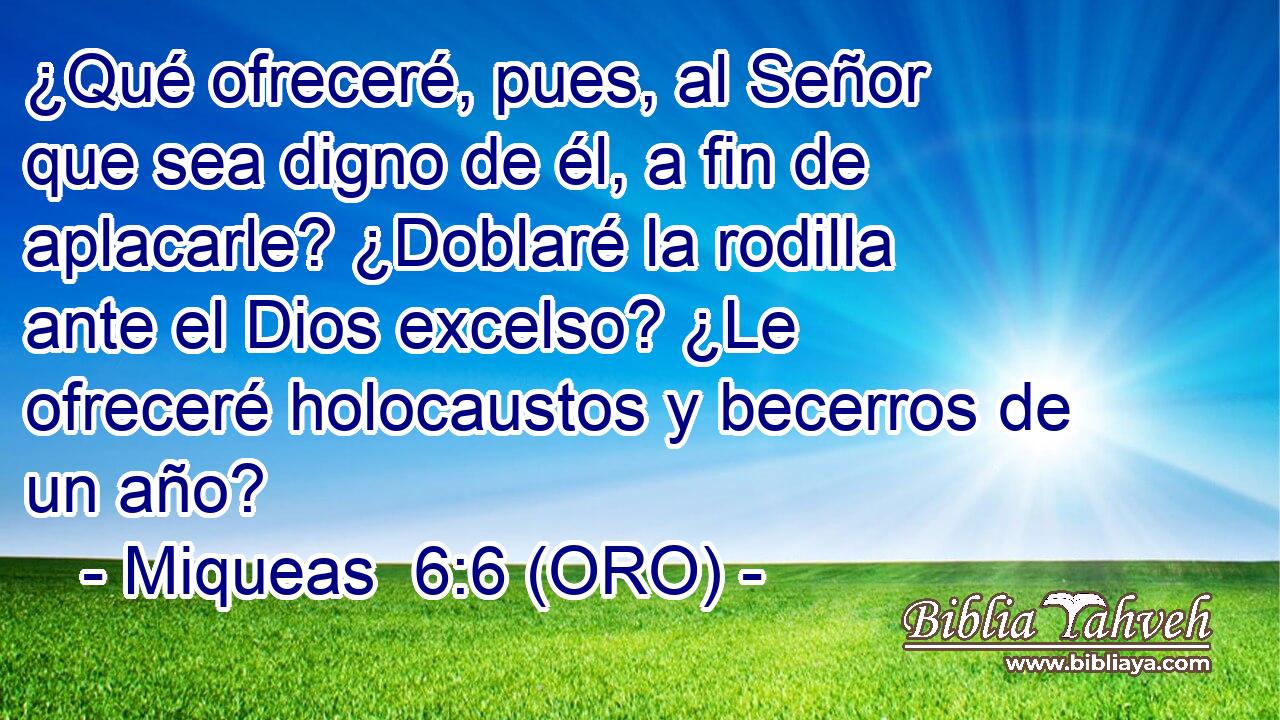  ¿Qué ofreceré, pues, al Señor que sea digno de él, a fin de aplacarle? ¿Doblaré la rodilla ante el Dios excelso? ¿Le ofreceré holocaustos y becerros de un año? 