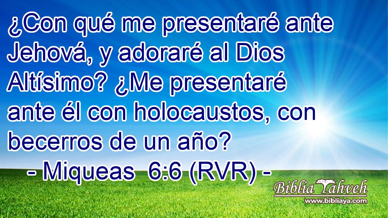 ¿Con qué me presentaré ante Jehová, y adoraré al Dios Altísimo? ¿Me presentaré ante él con holocaustos, con becerros de un año?