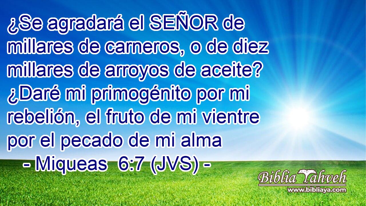 ¿Se agradará el SEÑOR de millares de carneros, o de diez millares de arroyos de aceite? ¿Daré mi primogénito por mi rebelión, el fruto de mi vientre por el pecado de mi alma