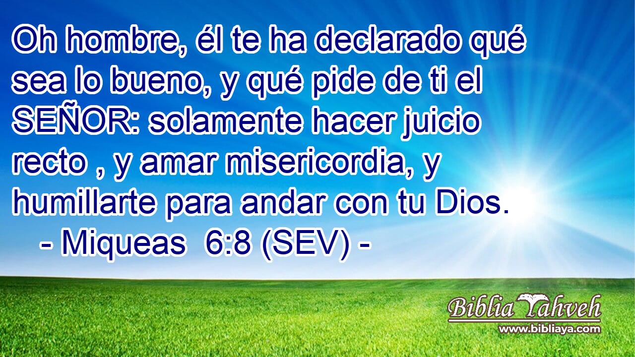 Oh hombre, él te ha declarado qué sea lo bueno, y qué pide de ti el SEÑOR: solamente hacer juicio recto , y amar misericordia, y humillarte para andar con tu Dios.