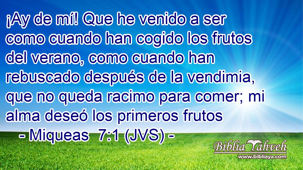 ¡Ay de mí! Que he venido a ser como cuando han cogido los frutos del verano, como cuando han rebuscado después de la vendimia, que no queda racimo para comer; mi alma deseó los primeros frutos