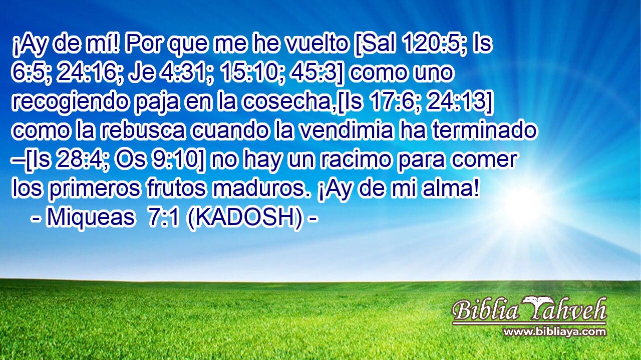  ¡Ay de mí! Por que me he vuelto [Sal 120:5; Is 6:5; 24:16; Je 4:31; 15:10; 45:3] como uno recogiendo paja en la cosecha,[Is 17:6; 24:13] como la rebusca cuando la vendimia ha terminado –[Is 28:4; Os 9:10] no hay un racimo para comer los primeros frutos maduros. ¡Ay de mi alma! 