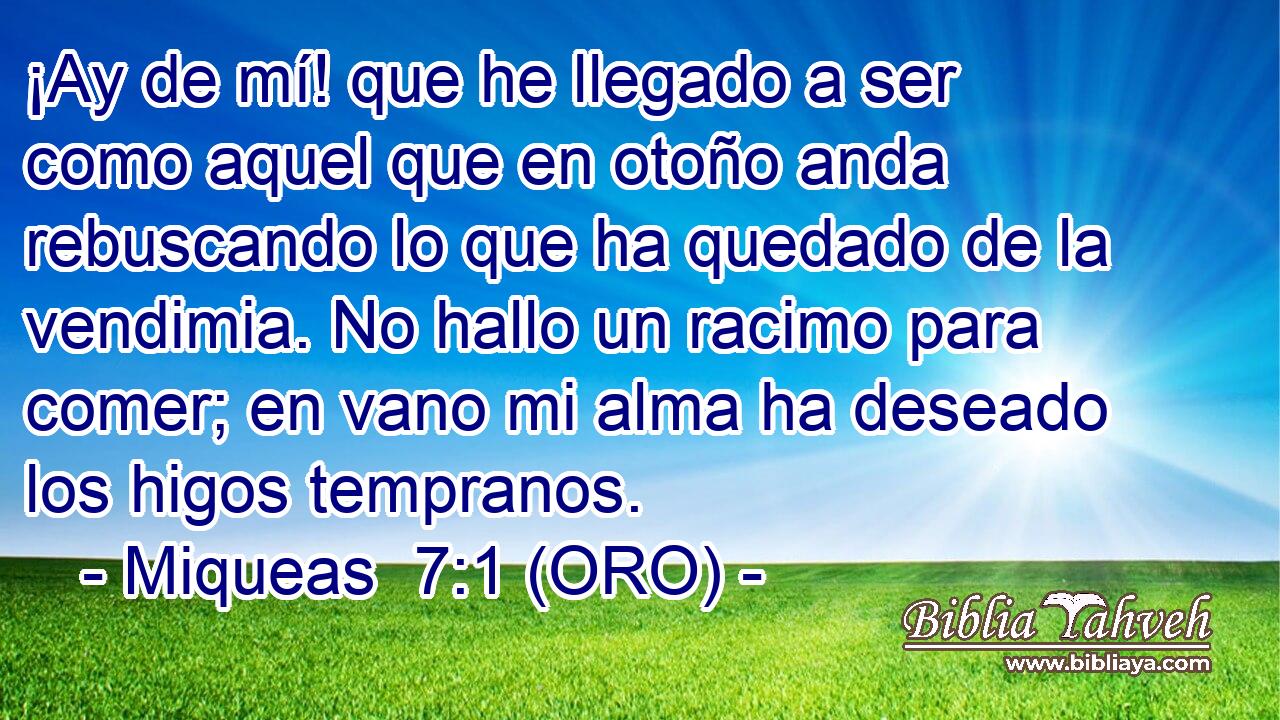  ¡Ay de mí! que he llegado a ser como aquel que en otoño anda rebuscando lo que ha quedado de la vendimia. No hallo un racimo para comer; en vano mi alma ha deseado los higos tempranos. 