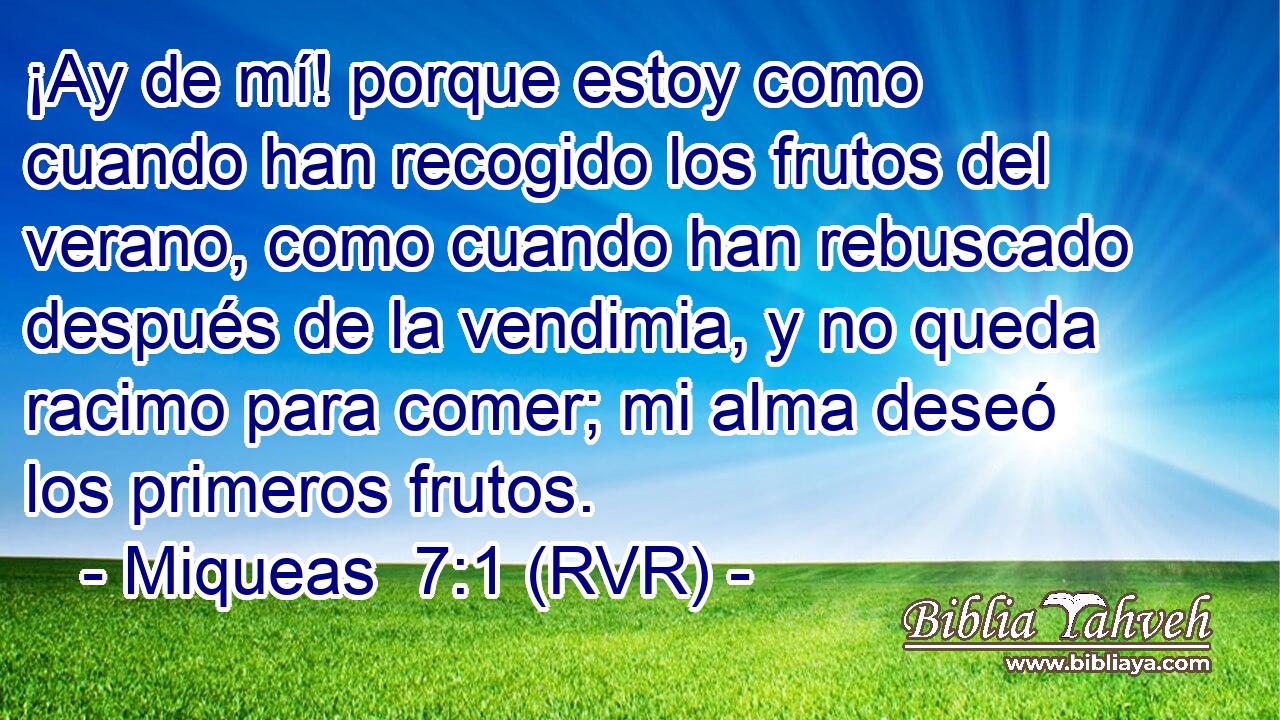 ¡Ay de mí! porque estoy como cuando han recogido los frutos del verano, como cuando han rebuscado después de la vendimia, y no queda racimo para comer; mi alma deseó los primeros frutos.