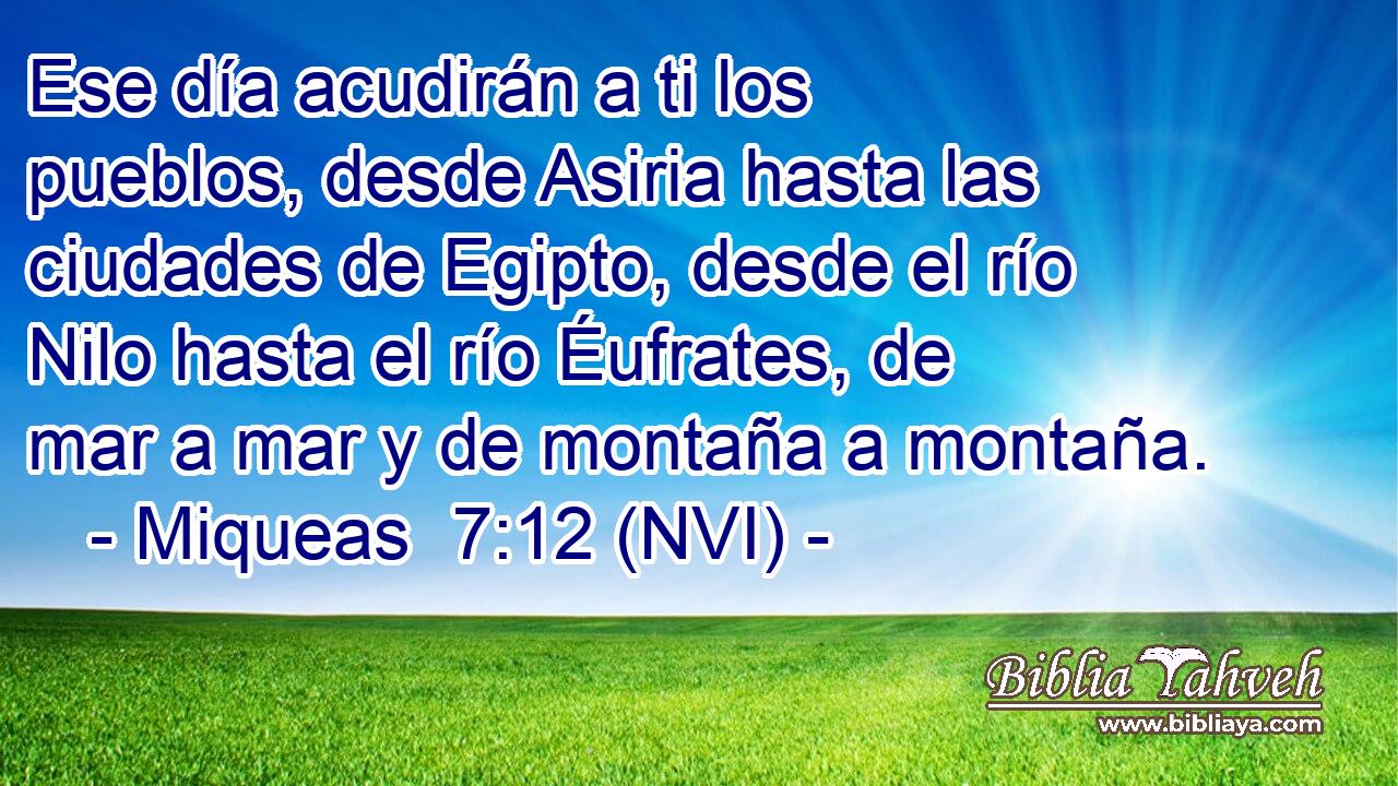  Ese día acudirán a ti los pueblos, desde Asiria hasta las ciudades de Egipto, desde el río Nilo hasta el río Éufrates, de mar a mar y de montaña a montaña. 