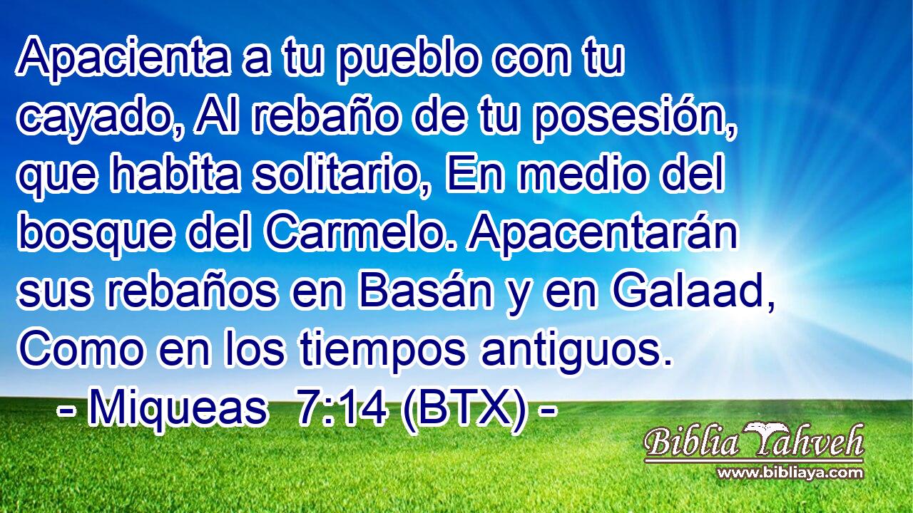 Apacienta a tu pueblo con tu cayado, Al rebaño de tu posesión, que habita solitario, En medio del bosque del Carmelo. Apacentarán sus rebaños en Basán y en Galaad, Como en los tiempos antiguos.