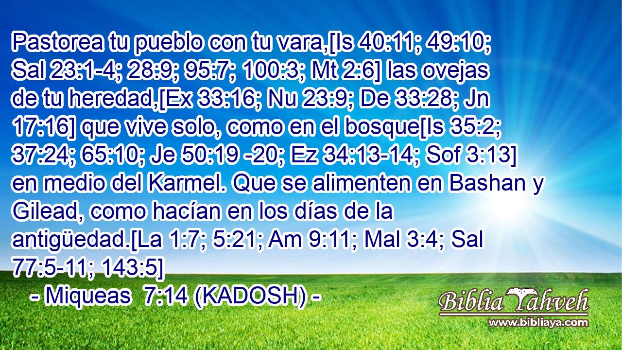  Pastorea tu pueblo con tu vara,[Is 40:11; 49:10; Sal 23:1-4; 28:9; 95:7; 100:3; Mt 2:6] las ovejas de tu heredad,[Ex 33:16; Nu 23:9; De 33:28; Jn 17:16] que vive solo, como en el bosque[Is 35:2; 37:24; 65:10; Je 50:19 -20; Ez 34:13-14; Sof 3:13] en medio del Karmel. Que se alimenten en Bashan y Gilead, como hacían en los días de la antigüedad.[La 1:7; 5:21; Am 9:11; Mal 3:4; Sal 77:5-11; 143:5] 