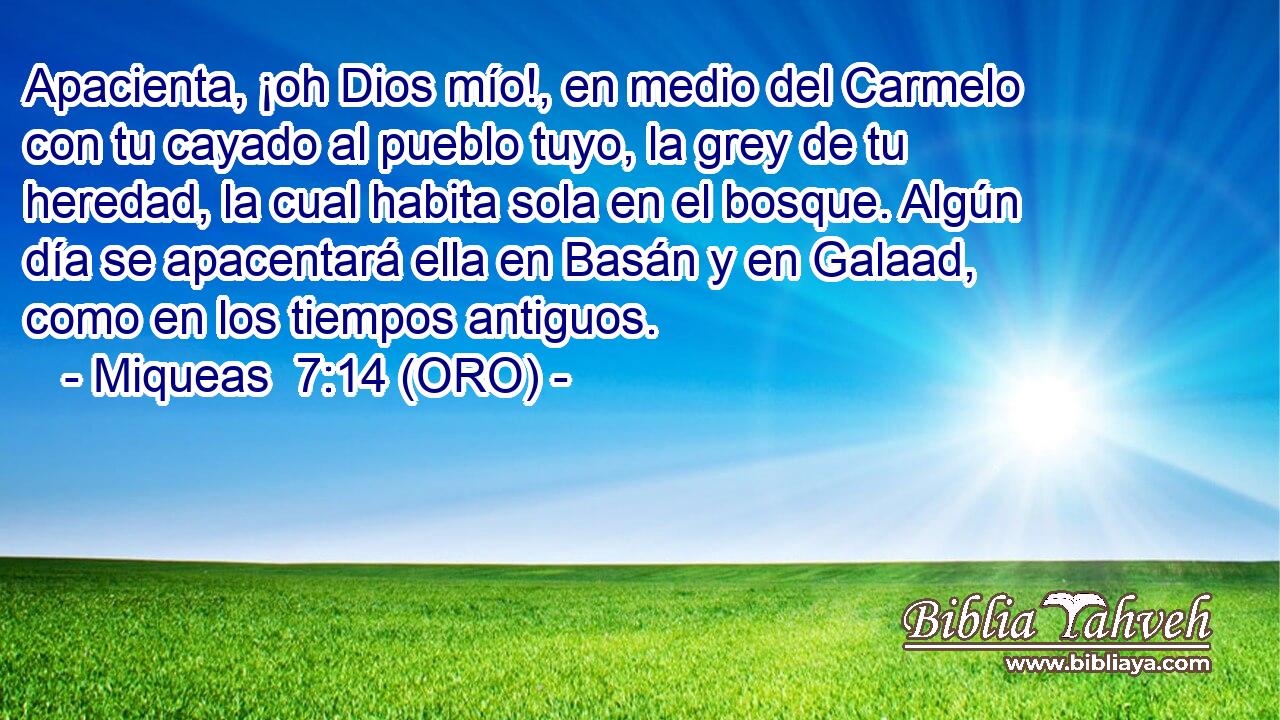  Apacienta, ¡oh Dios mío!, en medio del Carmelo con tu cayado al pueblo tuyo, la grey de tu heredad, la cual habita sola en el bosque. Algún día se apacentará ella en Basán y en Galaad, como en los tiempos antiguos. 