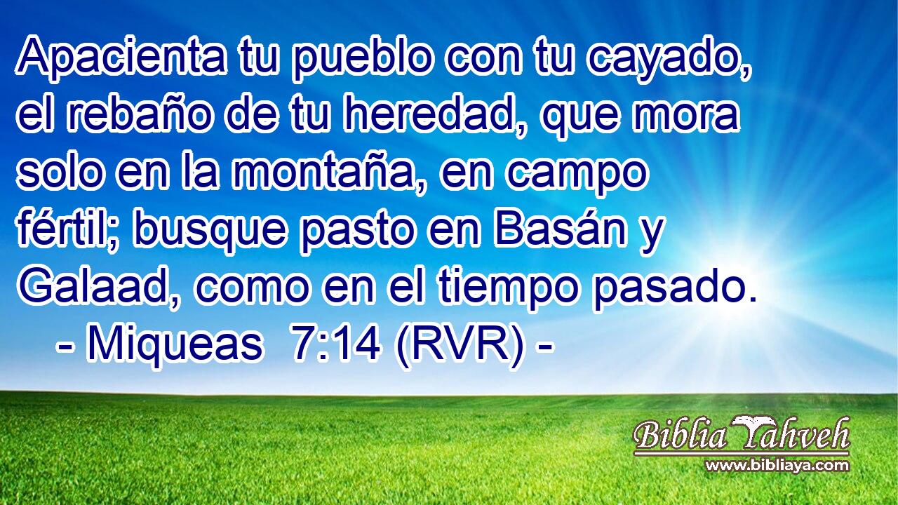 Apacienta tu pueblo con tu cayado, el rebaño de tu heredad, que mora solo en la montaña, en campo fértil; busque pasto en Basán y Galaad, como en el tiempo pasado.