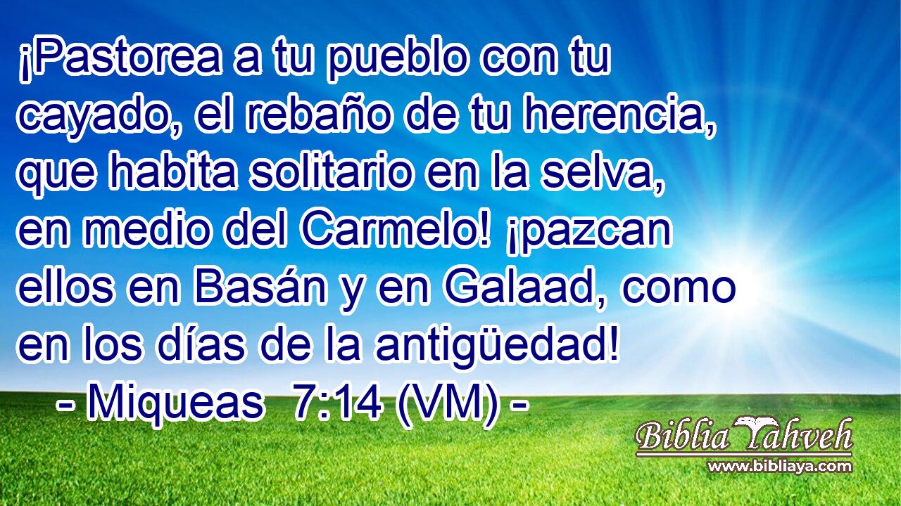  ¡Pastorea a tu pueblo con tu cayado, el rebaño de tu herencia, que habita solitario en la selva, en medio del Carmelo! ¡pazcan ellos en Basán y en Galaad, como en los días de la antigüedad! 