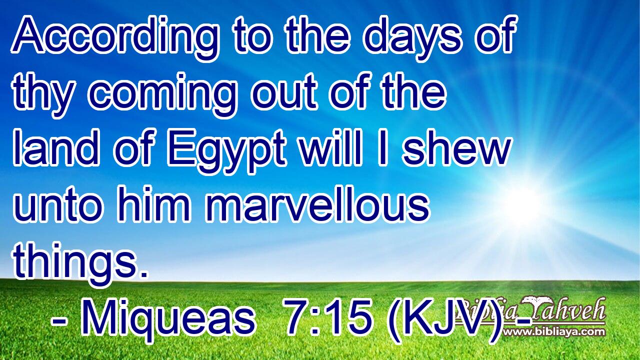 According to the days of thy coming out of the land of Egypt will I shew unto him marvellous things.