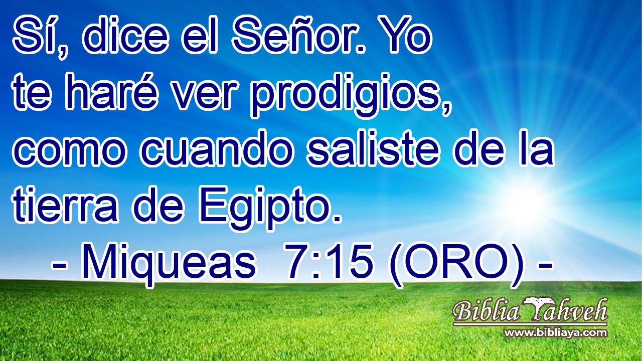  Sí, dice el Señor. Yo te haré ver prodigios, como cuando saliste de la tierra de Egipto. 