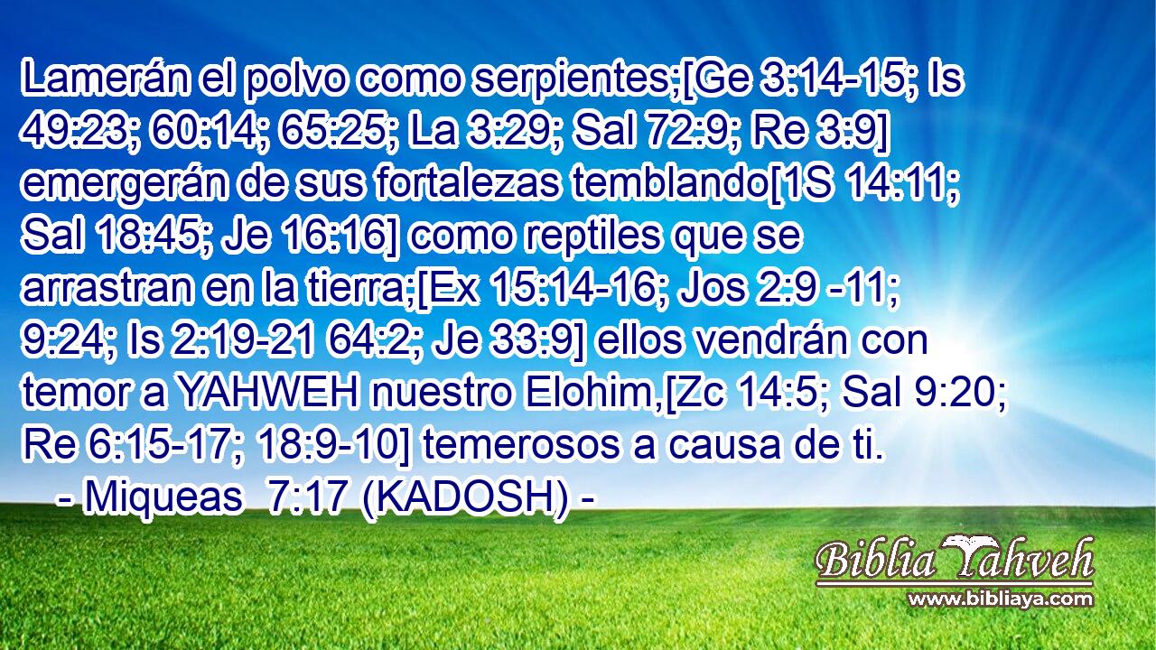  Lamerán el polvo como serpientes;[Ge 3:14-15; Is 49:23; 60:14; 65:25; La 3:29; Sal 72:9; Re 3:9] emergerán de sus fortalezas temblando[1S 14:11; Sal 18:45; Je 16:16] como reptiles que se arrastran en la tierra;[Ex 15:14-16; Jos 2:9 -11; 9:24; Is 2:19-21 64:2; Je 33:9] ellos vendrán con temor a YAHWEH nuestro Elohim,[Zc 14:5; Sal 9:20; Re 6:15-17; 18:9-10] temerosos a causa de ti. 
